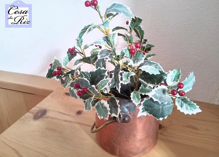 Cesa Da Riz Apartmán