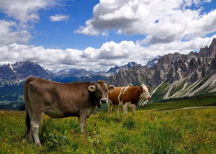 Apartmán Cesa Da Riz Colle Santa Lucia
